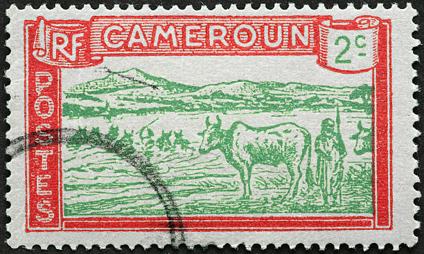 istock cow herder on an old Cameroun stamp 182226011