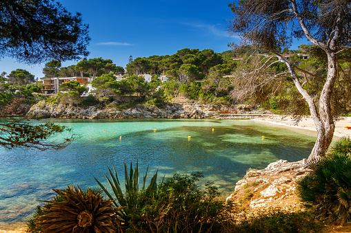 Serene and sandy beach La Font de Sa Cala in Mallorca, Spain