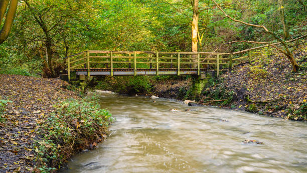 Holywell Dene is an ancient woodland ravine and is the valley of Seaton Burn in North Tyneside, popular with walkers