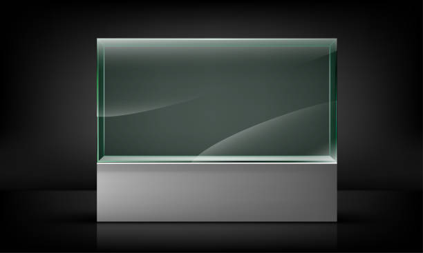 istock Empty glass showcase for presentation isolated on black background. Glass exhibition spot for presentation. Vector illustration 1822266514