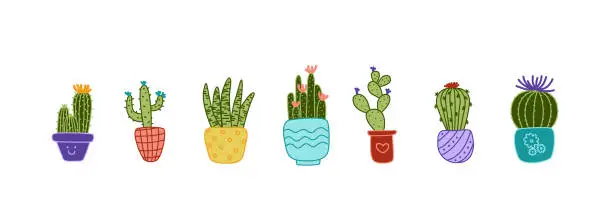 Vector illustration of Cactus set.  Cacti clip art. Flowering plants. Flat, cartoon, vector
