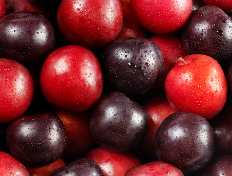 Red and Black Plums -Photographed on Hasselblad H1-22mb Camera