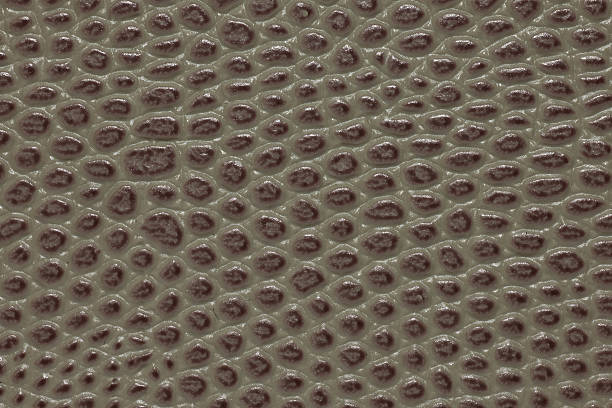 istock XXX Large Texture 182227088