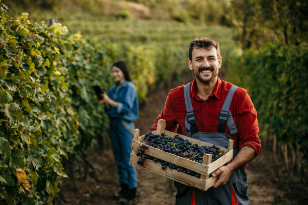 istock Welcome to my farm 1822273995