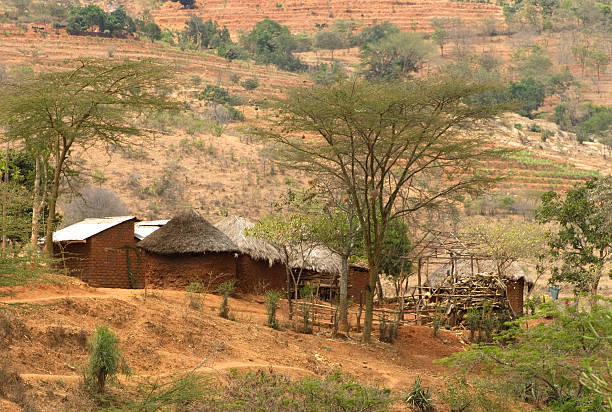 istock Rural African Farm 182227403