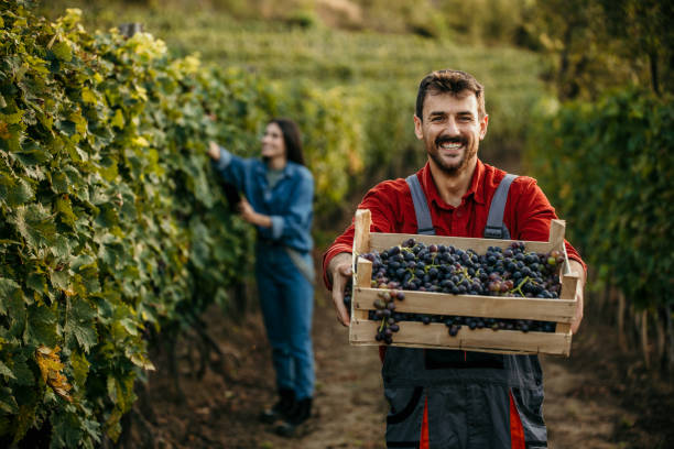 istock Welcome to my farm 1822274198