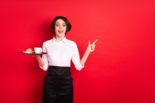 Photo of impressed nice brunette hair lady hold food point empty space wear shirt isolated on red color background