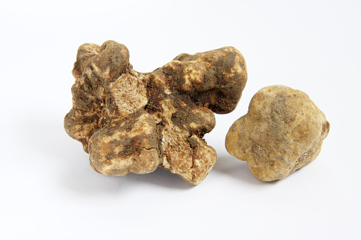 close-up of white truffles