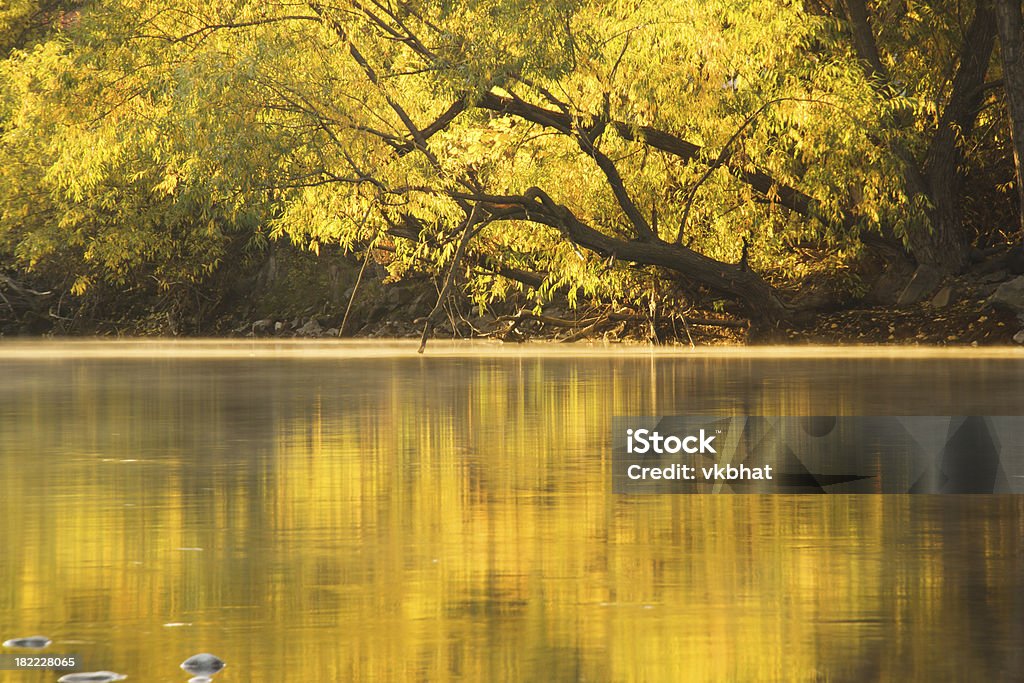 Outono reflexão - Royalty-free Amanhecer Foto de stock