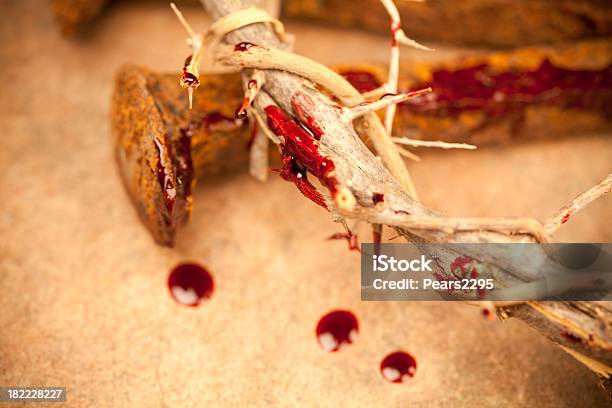 Crown Of Thorns Stock Photo - Download Image Now - Blood, Jesus Christ, Celebration Event