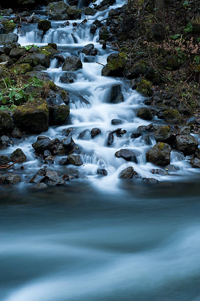 flowing water in nature stock photo