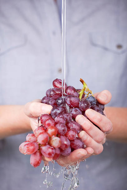 istock Washing a handful of grapes 182228509
