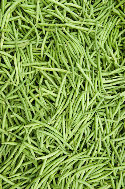 Green beans stock photo