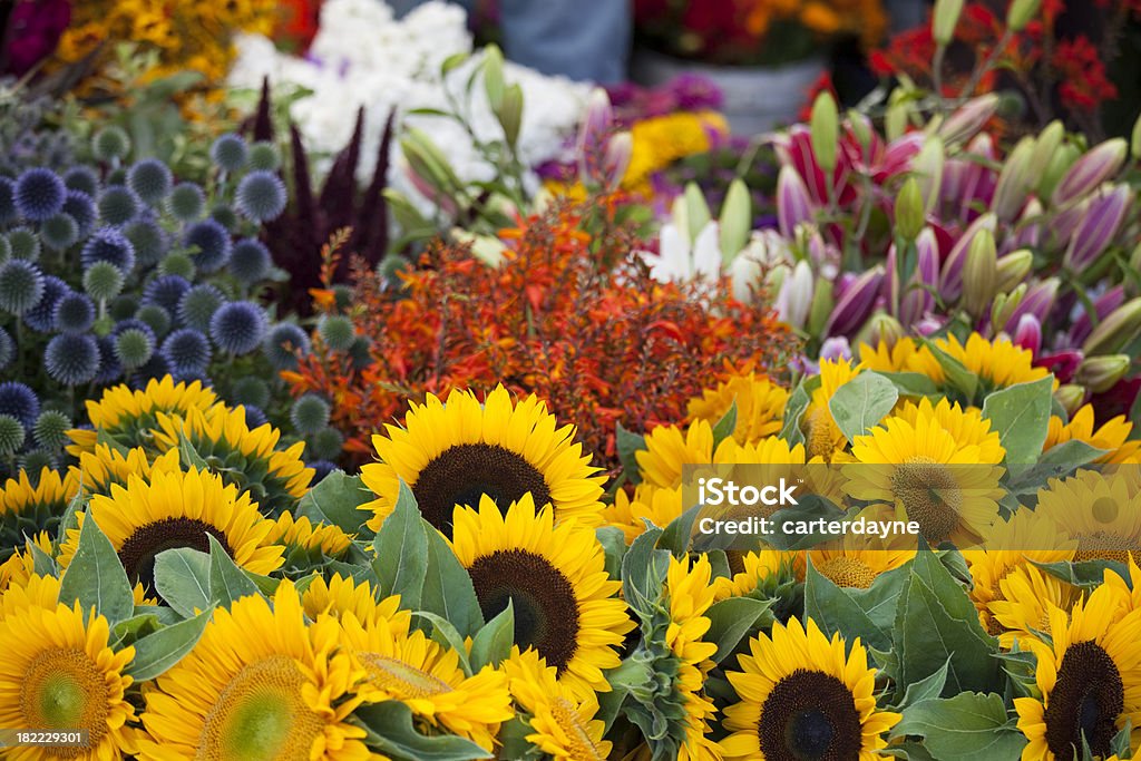 Frische Blumen in einer Farmers Market, Seattle - Lizenzfrei Blume Stock-Foto