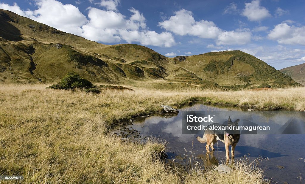 Berglandschaft - Lizenzfrei Berg Stock-Foto