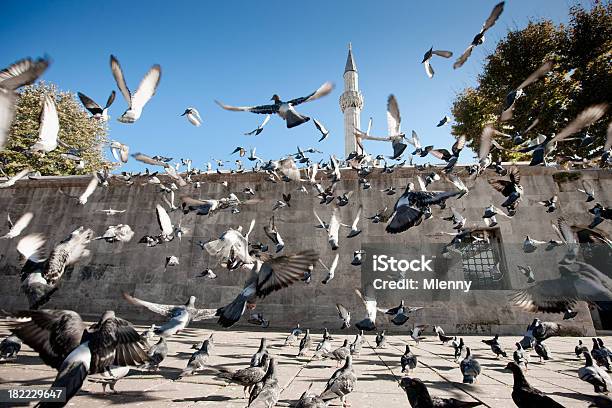 Libertad De La Religión Y La Paz Pigeons Flying Skywards Mezquita En Islámico Foto de stock y más banco de imágenes de Paloma torcaz - Ave