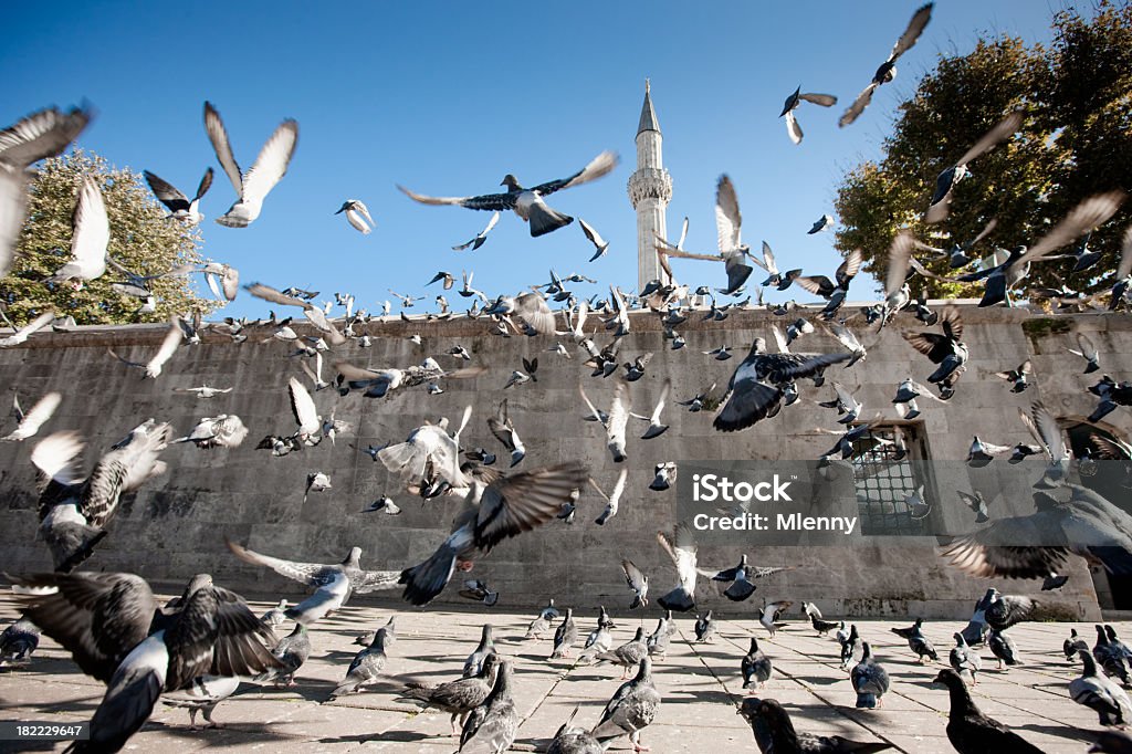 Свобода, религии и мира. Pigeons на исламских Мечеть Летающий Skywards - Стоковые фото Голубь роялти-фри