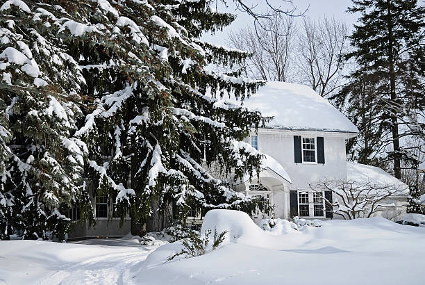 istock Snow covered house and fir trees 182229776