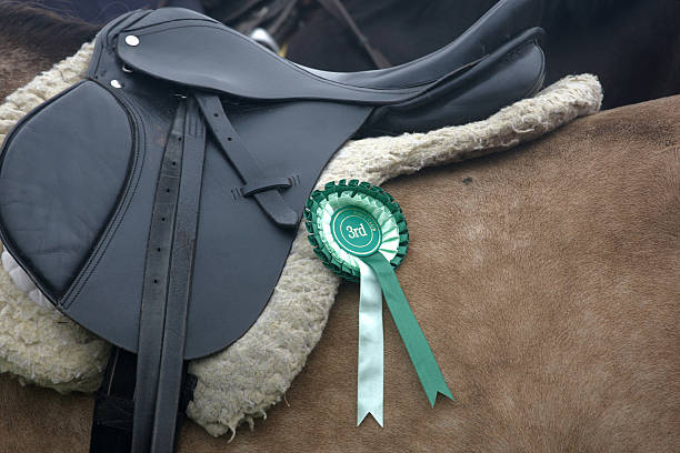 Third prize rosette in dressage competition