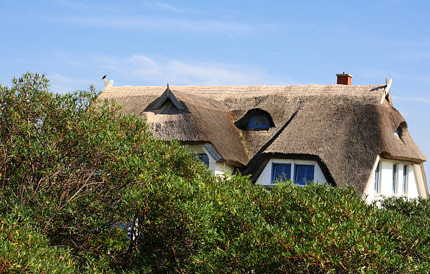 istock House with Thatched Roof behind Bushes 182229834