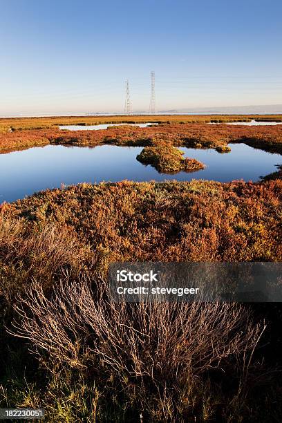 Baylands 공원 어얼리 아침입니다 풍경 캘리포니아 송신탑에 대한 스톡 사진 및 기타 이미지 - 송신탑, 캘리포니아, 0명