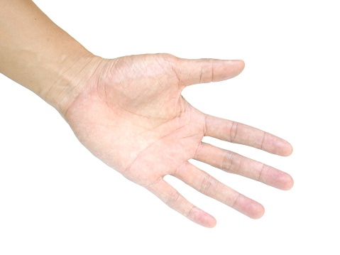 Open hand of a man who is empty, nothing  Isolated on a white background.