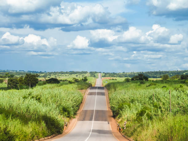 istock Road Through The Green Fields In Pungo Andongo In Angola 1822304740