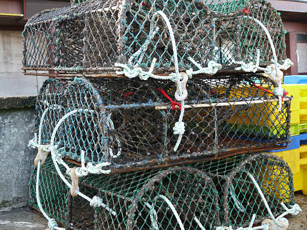 istock Crab and lobster pots stacked on the harbour 182230636