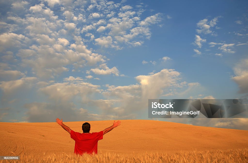 Um homem feliz abre seus braços em um campo de trigo. - Foto de stock de 30 Anos royalty-free
