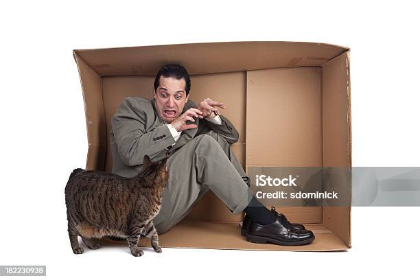 Hombre Con Miedo De Gatos Foto de stock y más banco de imágenes de Gato doméstico - Gato doméstico, Miedo, Fobia