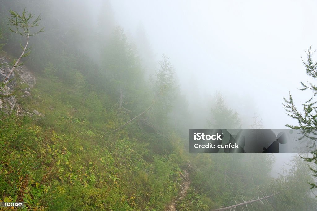 Nebbia in montagne - Foto stock royalty-free di Acqua