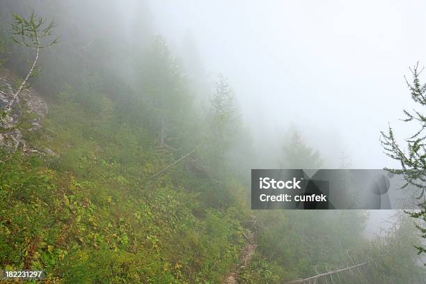 Nebbia In Montagne - Fotografie stock e altre immagini di Acqua - Acqua, Albero, Ambientazione esterna