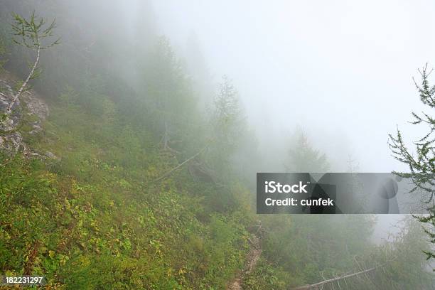 Foto de Nevoeiro Em Montanhas e mais fotos de stock de Ajardinado - Ajardinado, Ambiente dramático, Azul
