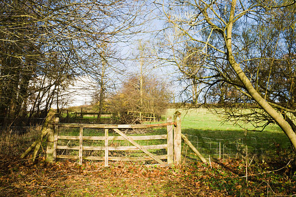 istock Autumn Landscape with Farm Gate 182231441