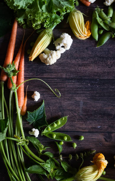 Flat Stacking series assorted green tinted Vegetables, Fresh Organic raw products