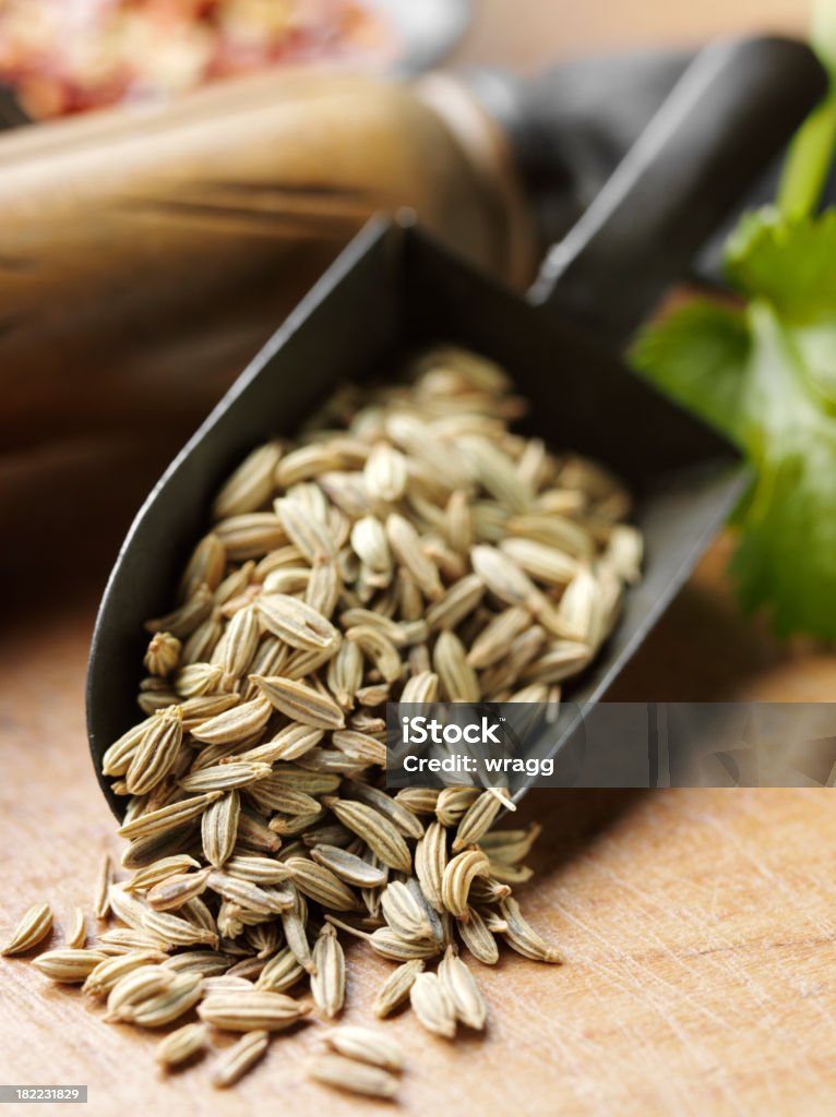 Fennel Seed Spice Fennel seeds on a old wooden chopping board, with a old metal scoop. Fennel Stock Photo