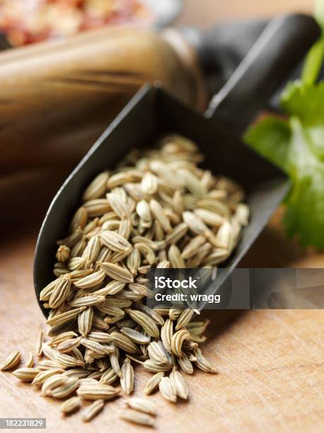 Fennel Seed Spice Stock Photo - Download Image Now - Fennel, Seed, Cooking