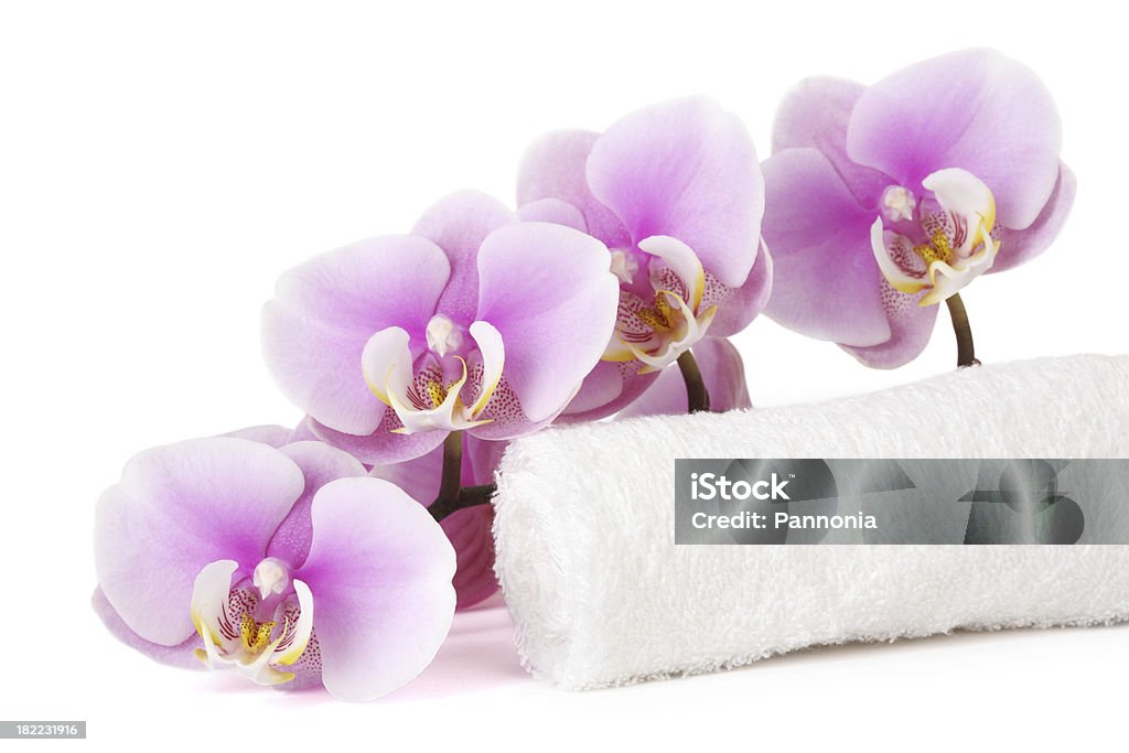 Orchid mit Handtuch - Lizenzfrei Bathroom Stock-Foto