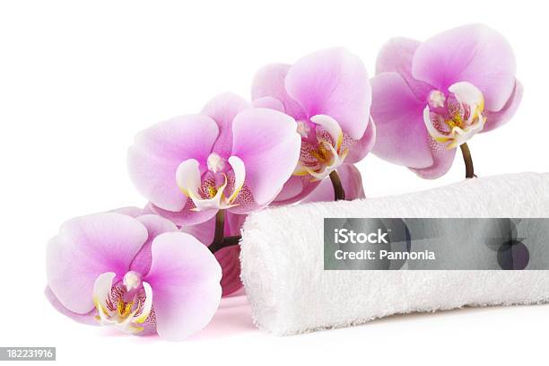 Orchid Mit Handtuch Stockfoto und mehr Bilder von Bathroom - Bathroom, Blume, Blüte