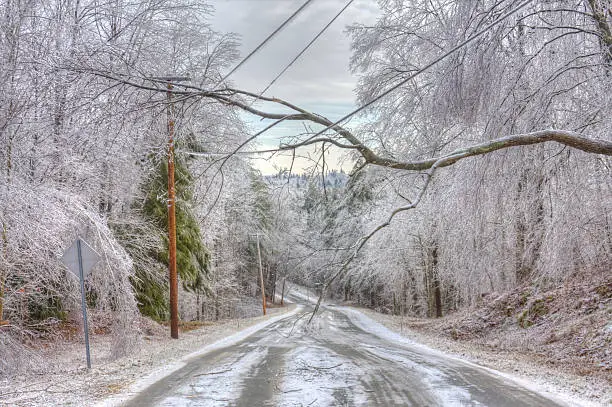 Dangerous trees weighed down by ice and powerlines after an icestorm. The weight of ice can easily snap power lines and break or bring down power/utility poles split trees in half and turn roads and pavements into lethal sheets of smooth, thick ice