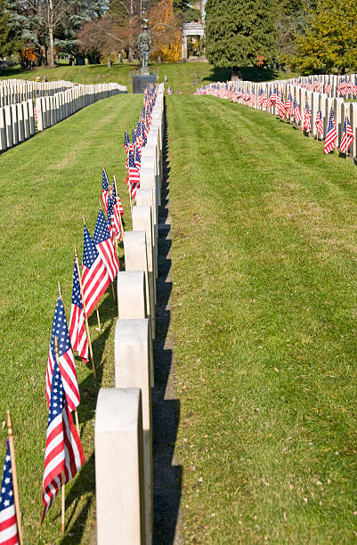 istock Military cemetery on Veterans' Day 182234126