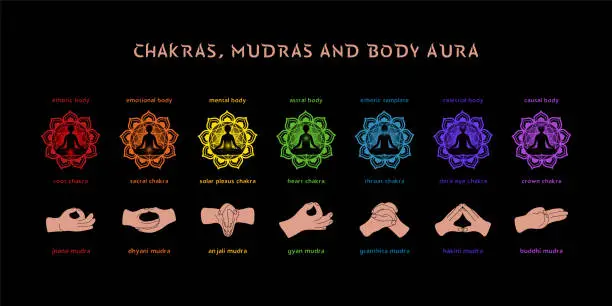 Vector illustration of Seven chakras, aura layers and mudras. Infographic for spiritual practises. Vector illustration on black background.