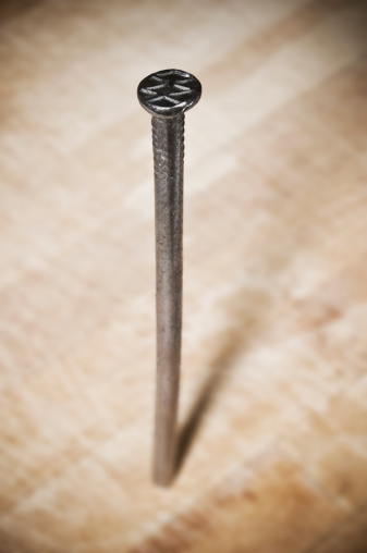 A nail half hammered into wood surface - focus on the head.