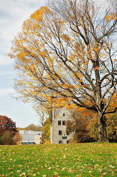 istock College campus in autumn 182234574