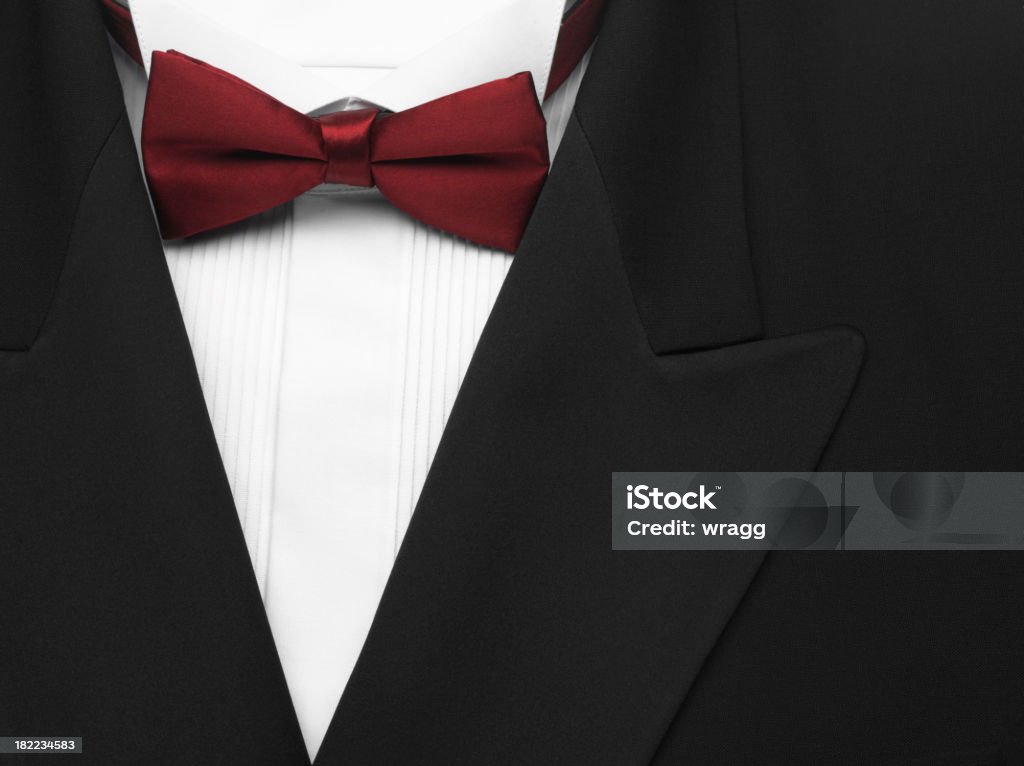 Cena Formal de chaqueta y bordó corbata de moño - Foto de stock de Bien vestido libre de derechos