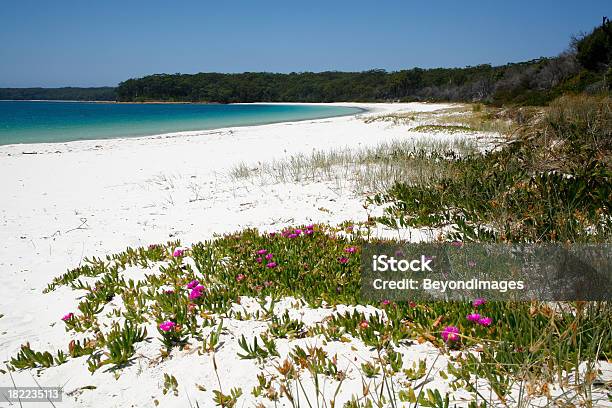 白いビーチピンクの花アクアの海 - オーストラリアのストックフォトや画像を多数ご用意 - オーストラリア, ジャービスベイ, ターコイズブルー