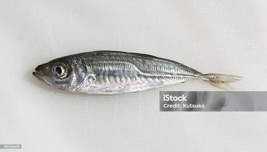 Pescado - Foto de stock de Alimento libre de derechos