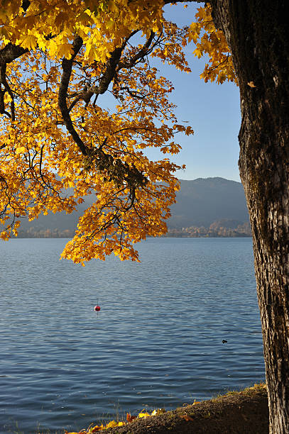 テーゲルン湖 - bavaria austria blue celebration ストックフォトと画像