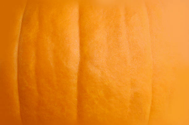 pumpkin background stock photo