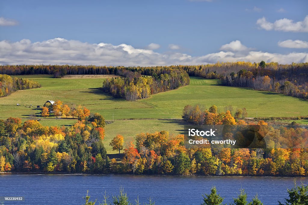 Fall Leaves and Green Fields on the St. John River Lush green fields are surrounded by fall foliage on the St. John River of New Brunswick. Autumn Stock Photo